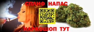 СК Пенза
