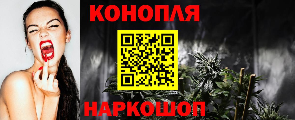 Бошки Шишки планчик Ступино